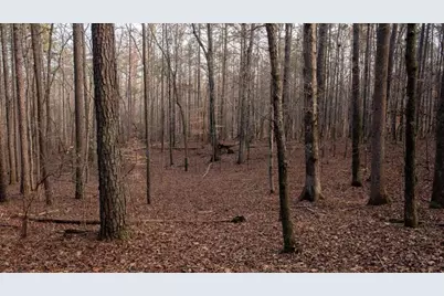 0 Doke Cohran Road, Dallas, GA 30157 - Photo 25