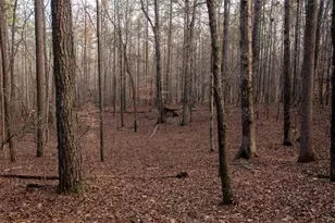 0 Doke Cohran Rd, Dallas, GA 30157 - Photo 25