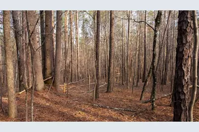 0 Doke Cohran Road, Dallas, GA 30157 - Photo 15