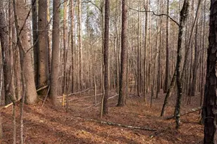 0 Doke Cohran Rd, Dallas, GA 30157 - Photo 15