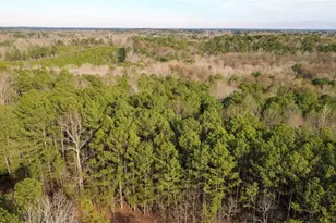 0 Doke Cohran Rd, Dallas, GA 30157 - Photo 19