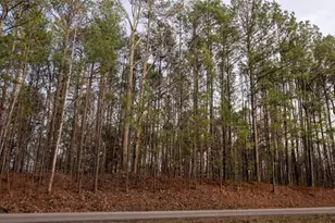 0 Doke Cohran Rd, Dallas, GA 30157 - Photo 3