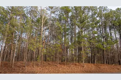 0 Doke Cohran Road, Dallas, GA 30157 - Photo 23