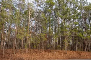 0 Doke Cohran Rd, Dallas, GA 30157 - Photo 23