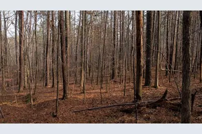 0 Doke Cohran Road, Dallas, GA 30157 - Photo 21