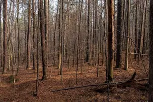 0 Doke Cohran Rd, Dallas, GA 30157 - Photo 21