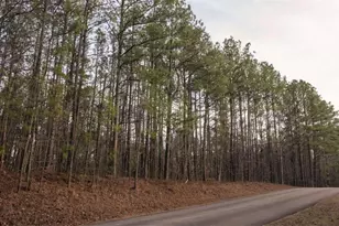 0 Doke Cohran Rd, Dallas, GA 30157 - Photo 29