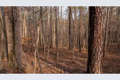 0 Doke Cohran Road, Dallas, GA 30157 - Photo 17