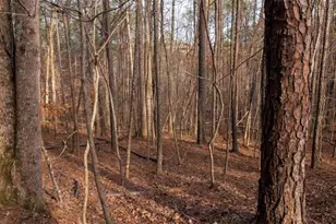 0 Doke Cohran Rd, Dallas, GA 30157 - Photo 17