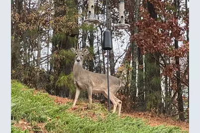 107 Millstone Manor Court, Woodstock, GA 30188 - Photo 49