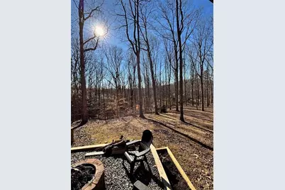 163 Beauregards Knob, Ellijay, GA 30536 - Photo 33