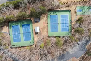 300 Waterfront Park Ln, Dawsonville, GA 30534 - Photo 67