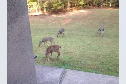 3357 Rising Fawn Trail, Suwanee, GA 30024 - Photo 93