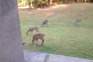 3357 Rising Fawn Trail, Suwanee, GA 30024 - Photo 93