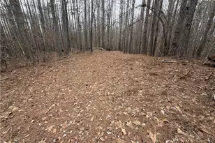 363 Lane Rd, Dallas, GA 30157 - Photo 17