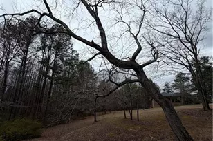 363 Lane Rd, Dallas, GA 30157 - Photo 5