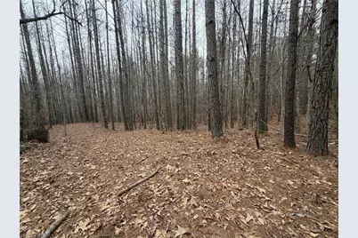 363 Lane Road, Dallas, GA 30157 - Photo 17