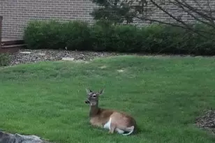 4603 Lake Village Dr, Dunwoody, GA 30338 - Photo 39