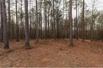 375 Caney Creek Road, Carrollton, GA 30116 - Photo 15