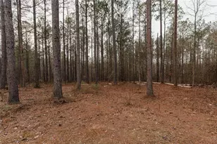 375 Caney Creek Rd, Carrollton, GA 30116 - Photo 15