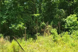 0 Spring Hill Dr, Covington, GA 30016 - Photo 1