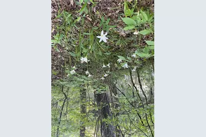 675 McGee Bend Road, Cave Spring, GA 30124 - Photo 67