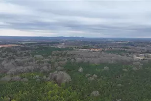 29 Wisteria Trail SW, Euharlee, GA 30120 - Photo 45