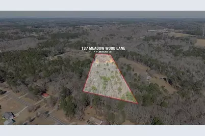137 Meadow Wood Lane, Monroe, GA 30656 - Photo 77