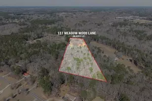 137 Meadow Wood Ln, Monroe, GA 30656 - Photo 77