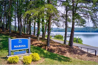 105 Franklin Elm Court, Waleska, GA 30183 - Photo 59