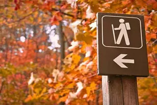 105 Franklin Elm Ct, Waleska, GA 30183 - Photo 61