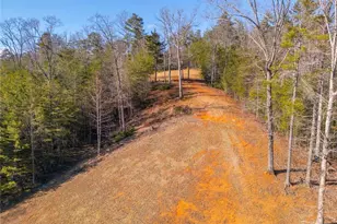 457 Celie Ann Seabolt Rd, Cleveland, GA 30528 - Photo 51