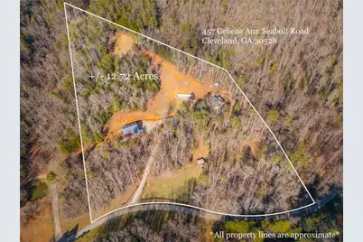457 Celie Ann Seabolt Road, Cleveland, GA 30528 - Photo 3