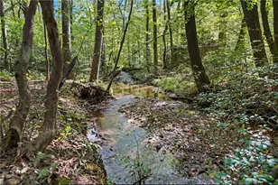 257 Foot Hills Dr, Cleveland, GA 30528 - Photo 55