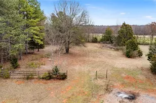 13 Boysenberry Ct, White, GA 30184 - Photo 41