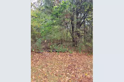 5192 Joe Frank Harris Parkway NW, Adairsville, GA 30103 - Photo 7