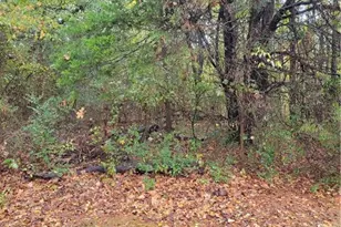 5192 Joe Frank Harris Pkwy NW, Adairsville, GA 30103 - Photo 7