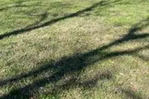 223 Atha St, Monroe, GA 30655 - Photo 1