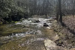 0 Lot 16 Bravo Way, Talking Rock, GA 30175 - Photo 1