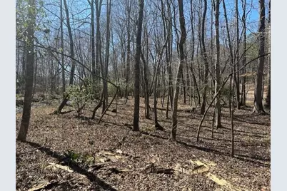 0 Lot 16 Bravo Way, Talking Rock, GA 30175 - Photo 9