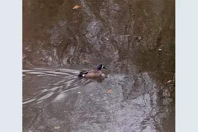 8923 Carroll Manor Drive, Atlanta, GA 30350 - Photo 31