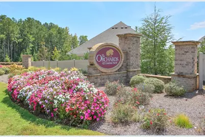 1401 Lexington Green Pines, Cumming, GA 30040 - Photo 47