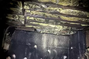 211 Millstream Ridge, Villa Rica, GA 30180 - Photo 49