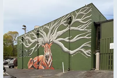 1503 Oakridge Court, Decatur, GA 30033 - Photo 35