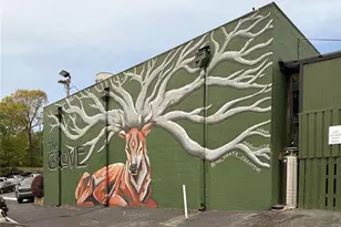 1503 Oakridge Ct, Decatur, GA 30033 - Photo 35