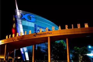 775 Juniper St, Atlanta, GA 30308 - Photo 39