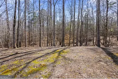 132 Montgomery View Court, Villa Rica, GA 30180 - Photo 51