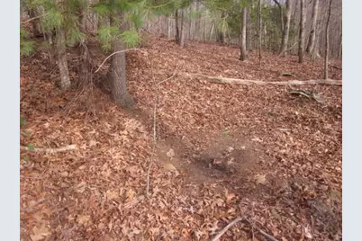 0 Sparks Way, Talking Rock, GA 30175 - Photo 21