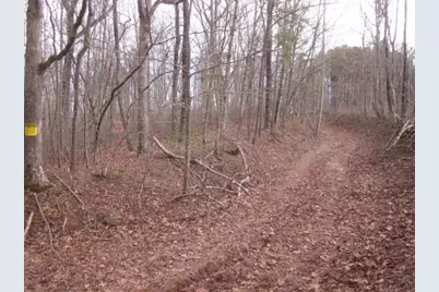 0 Sparks Way, Talking Rock, GA 30175 - Photo 3