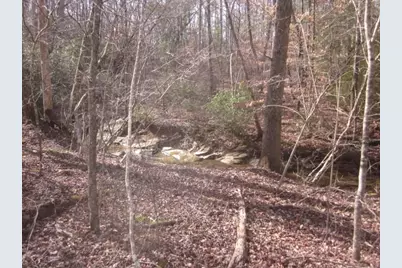 0 Sparks Way, Talking Rock, GA 30175 - Photo 25
